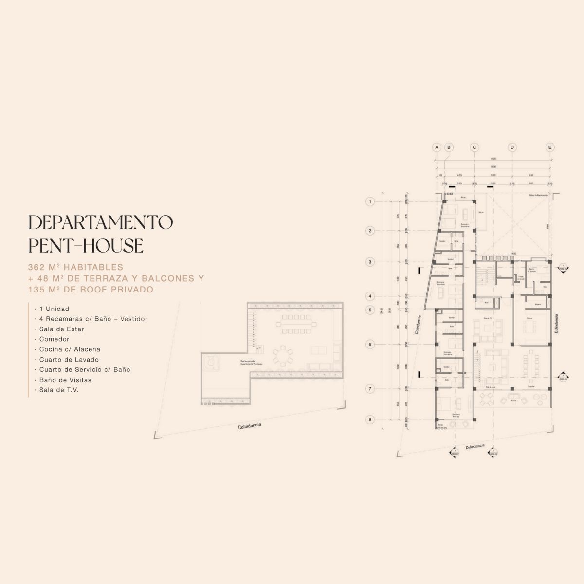 dDiana 25 departamentos tecamachalco