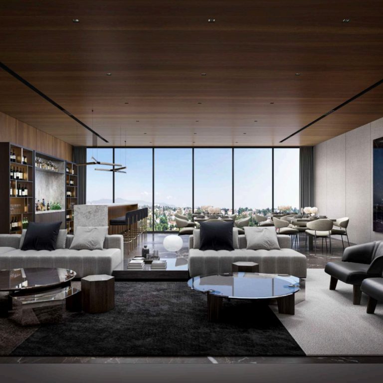 sala Root 162 Tecamachalco departamentos (2)